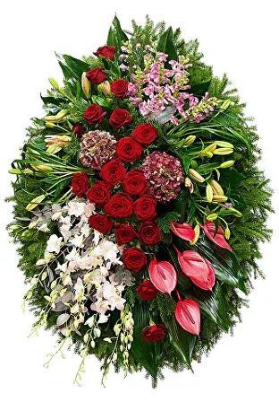 Радужная память