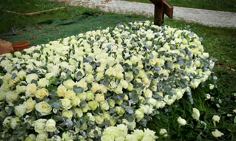 Работа Venok.pro 56